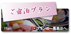 ���h���v����